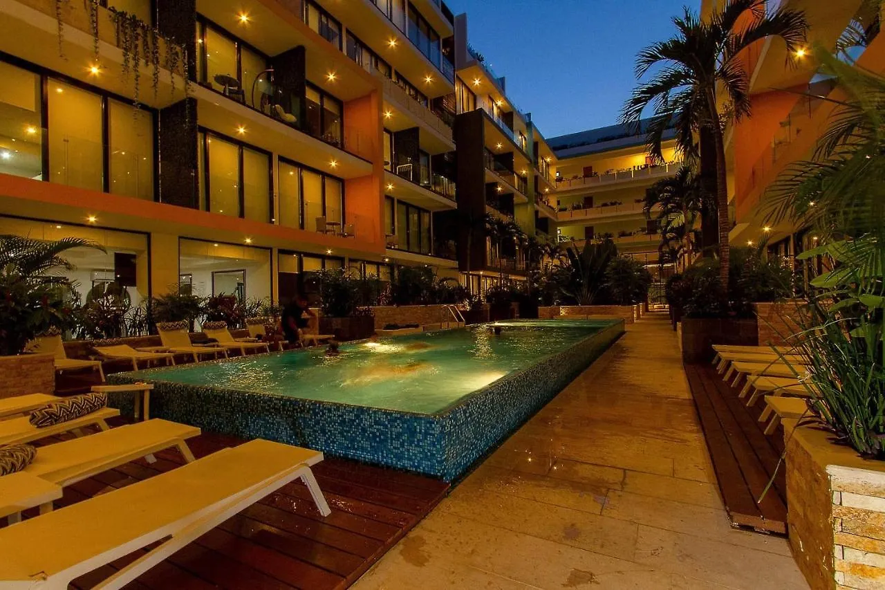 Studio Close To 5Th Av. W/ Amazing Roof Pool View, Gym, Spa And More! Playa del Carmen Mexico